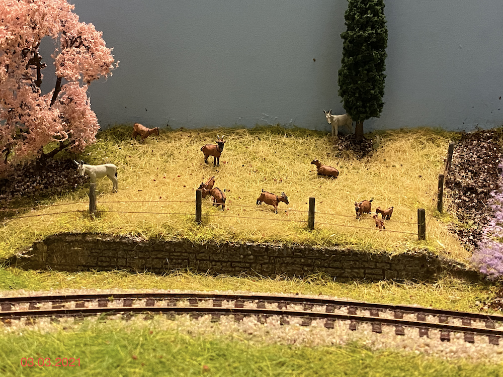 Image non disponible.