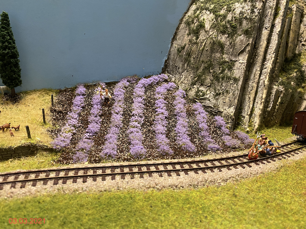 Image non disponible.