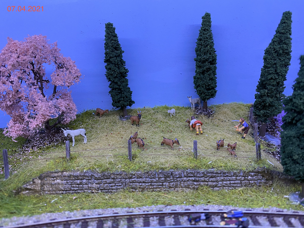 Image non disponible.