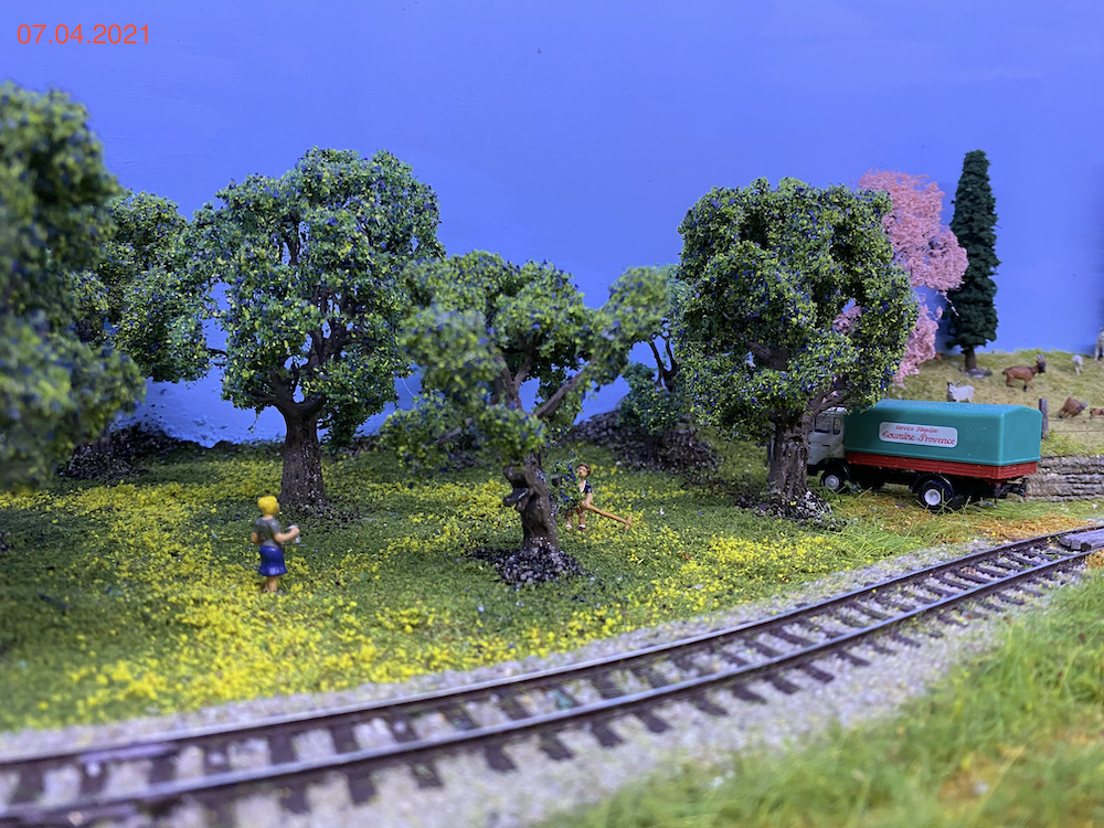 Image non disponible.