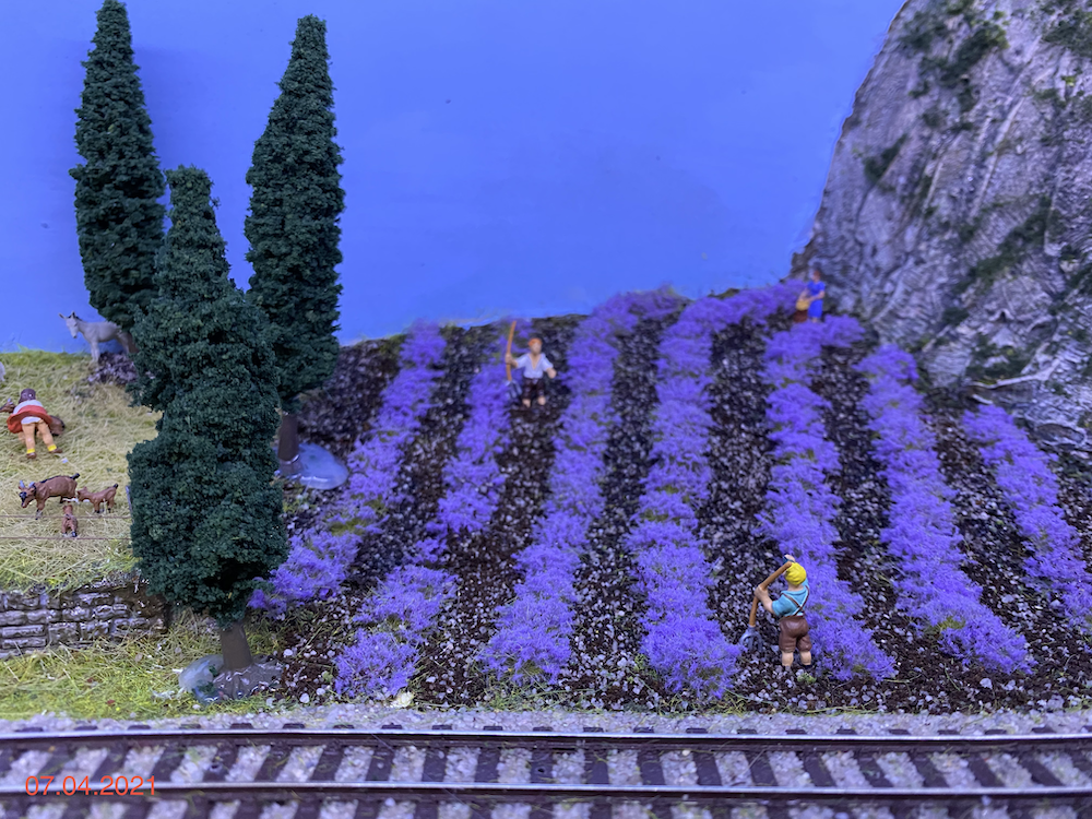 Image non disponible.