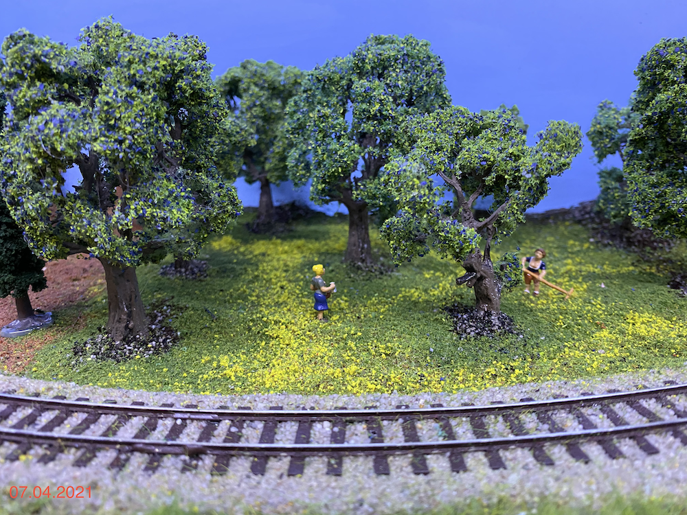 Image non disponible.