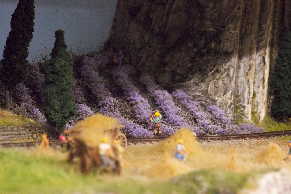 Image non disponible.