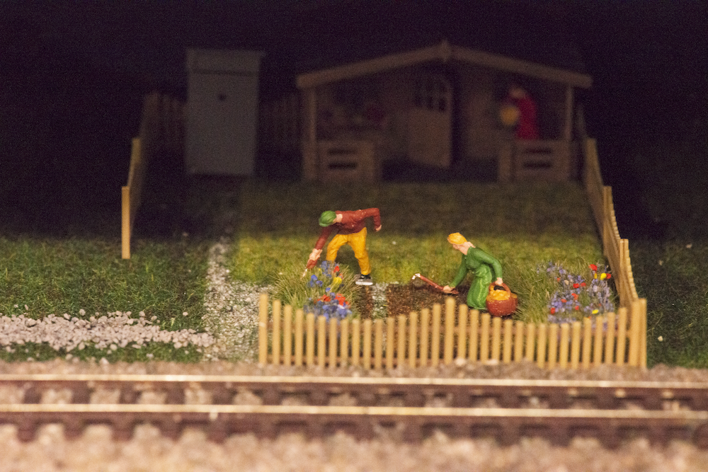 Image non disponible.