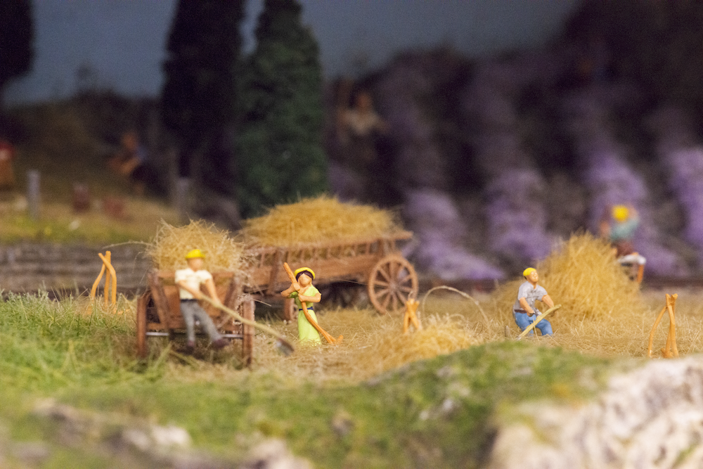 Image non disponible.