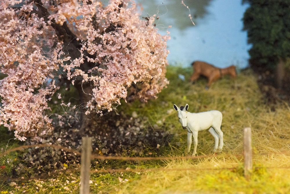 Image non disponible.