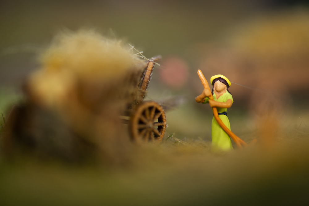 Image non disponible.