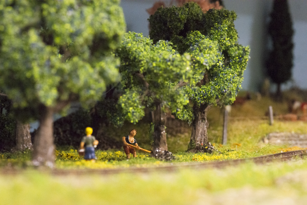 Image non disponible.