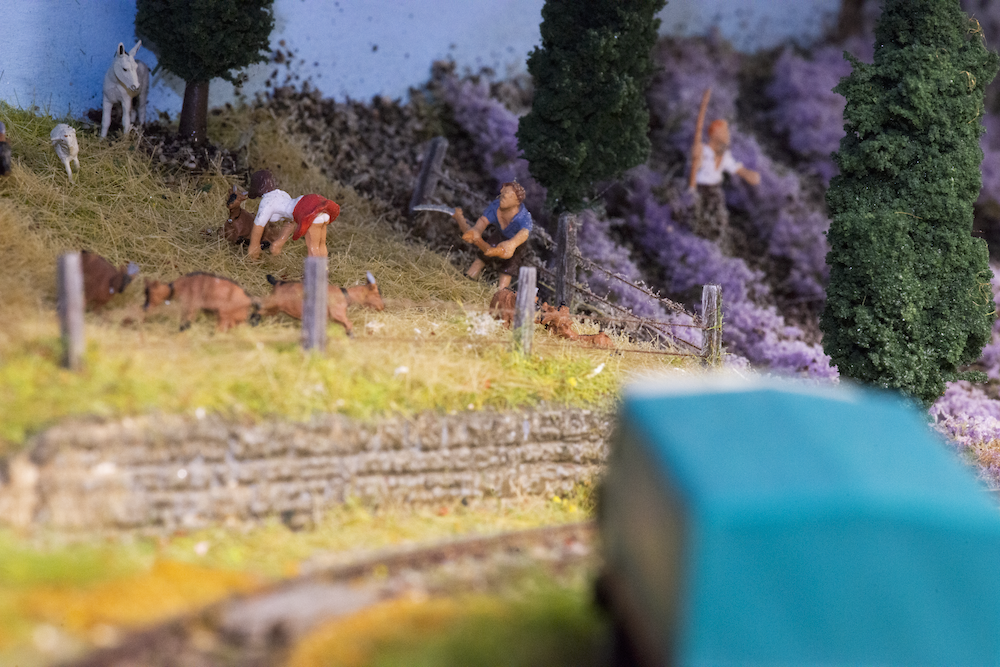 Image non disponible.