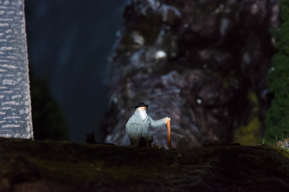 Image non disponible.