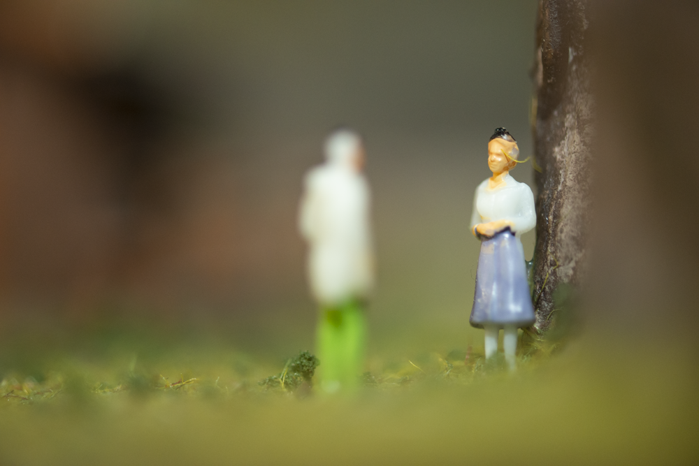 Image non disponible.