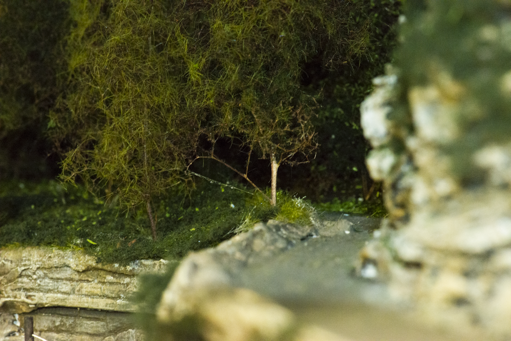 Image non disponible.