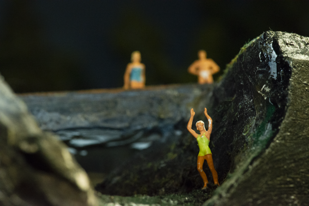 Image non disponible.