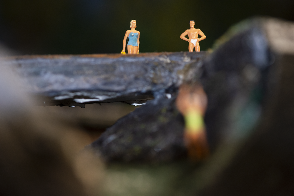 Image non disponible.