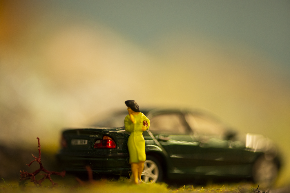 Image non disponible.