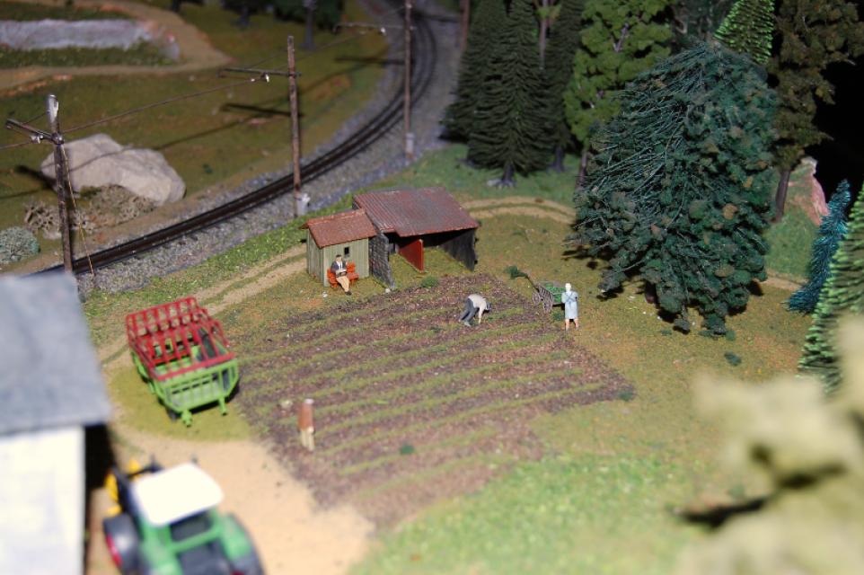 Image non disponible.