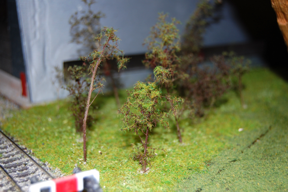 Image non disponible.