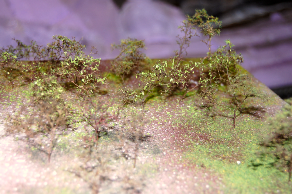 Image non disponible.