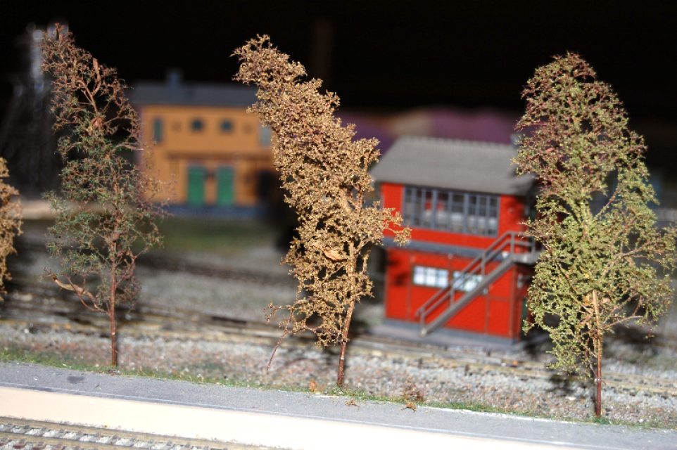 Image non disponible.