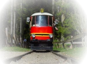 Lien Le P'tit Train de Valangin